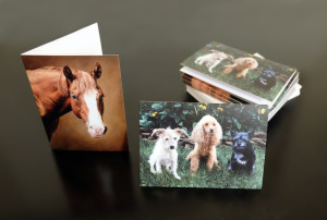 Custom Greeting card from Commissioned Horse and dogs pet portraits oil painting by Seattle artistac Rebecca Luncan.