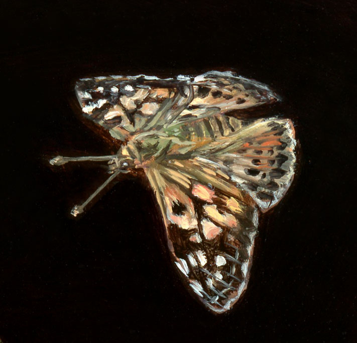 Detail of Miniature oil painting of painted lady butterfly on copper by Rebecca Luncan, 5" x 5"