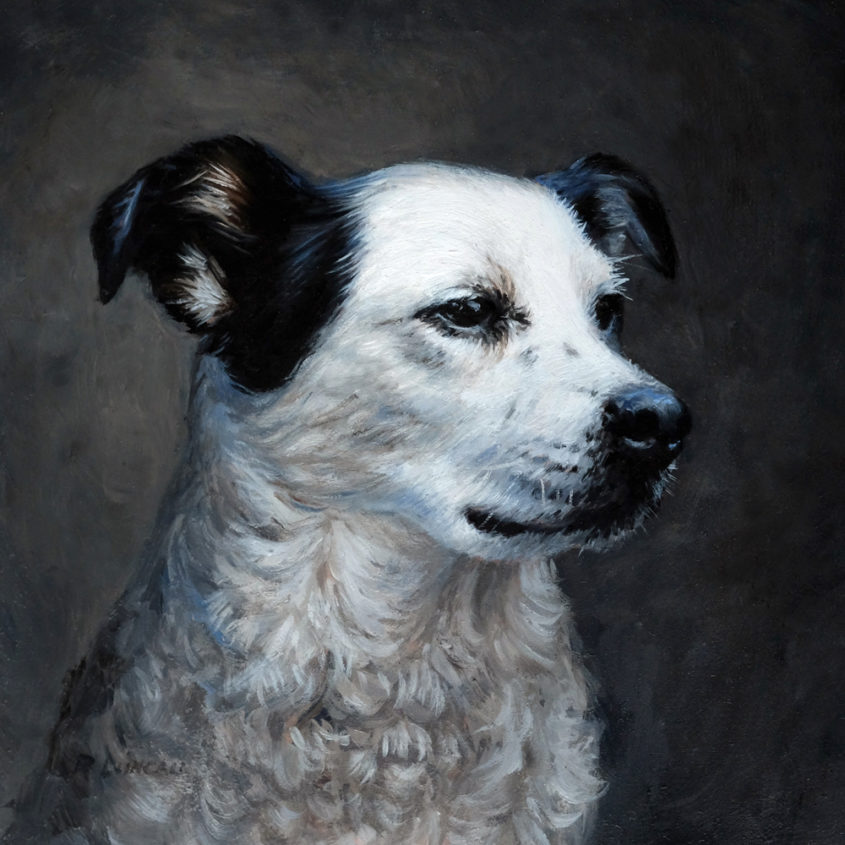 pet portrait dog, oil on copper, 4" x 4"