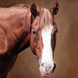 Oil portraits by commission: people and all kinds of pets, including horses, dogs, cats, rabbits, goats, chickens and more. 
