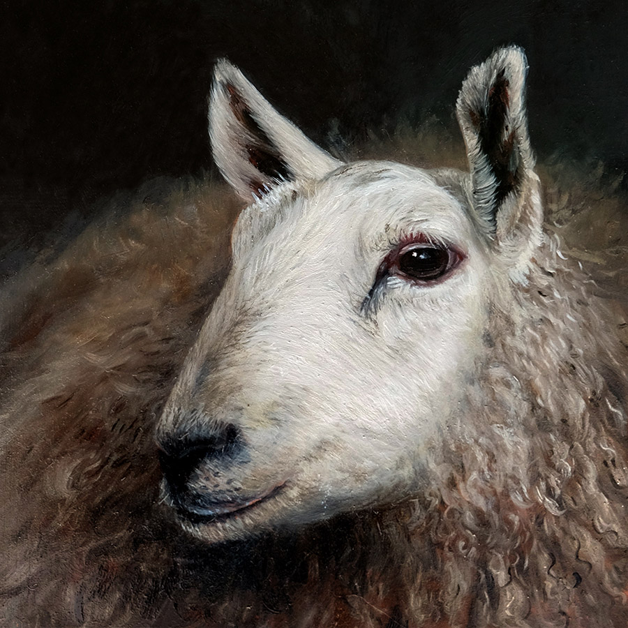 Sheep painting
