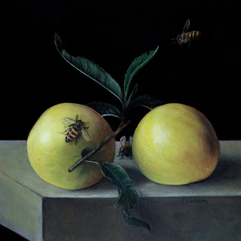 Honey Bee and Japanese plum still life, oil paitning on copper by Rebecca Luncan