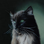 Bruno the cat, miniature oil painting on copper by Rebecca Luncan