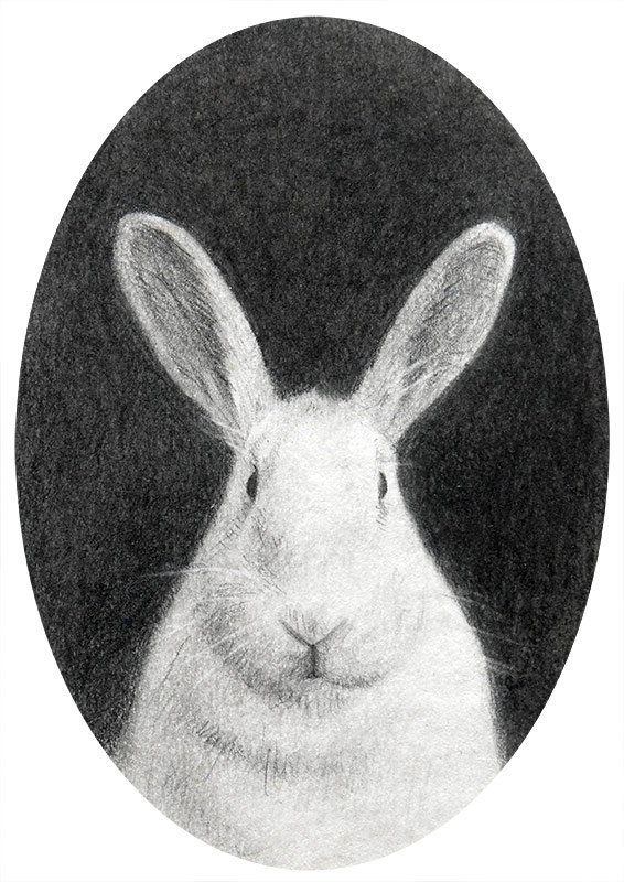 animal portrait rabbit art miniature drawing on paper by Rebecca Luncan