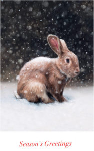 Snow Rabbit Season's Greeting Cards