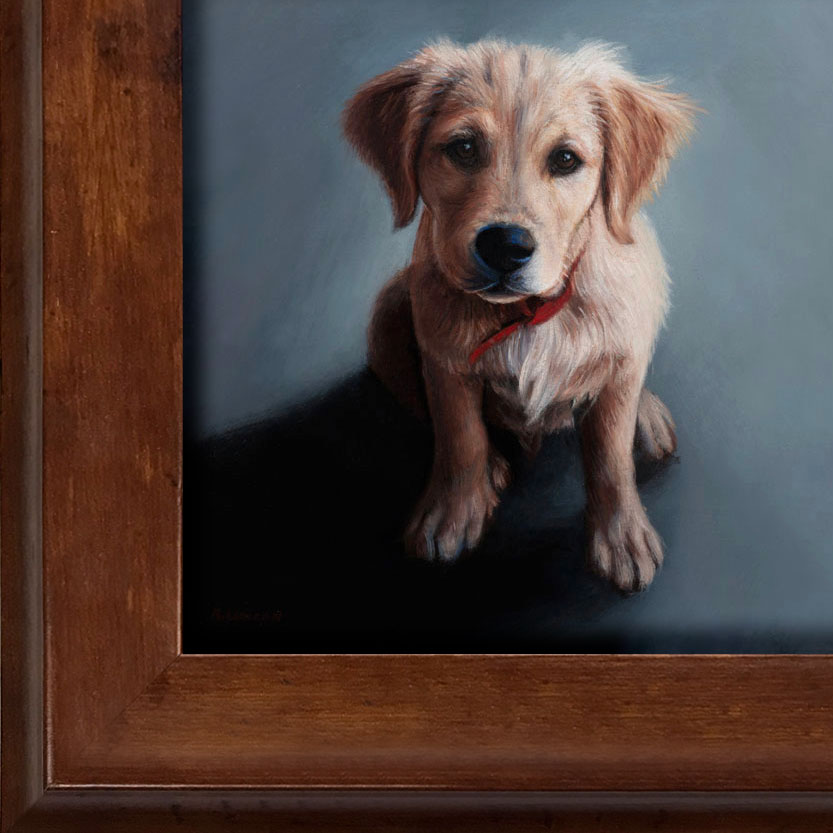 puppy pet portrait oil painting framed by Rebecca Luncan