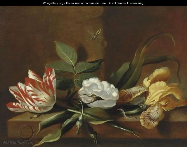Jacob Marrel artist known for floral paintings, "Still Life With A Yellow Iris, A Parrot Tulip, A White Rose And Insects On A Wooden Table Ledge" oil on Canvas.