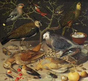 George Flegel, Still Life of Birds and Insects 1637