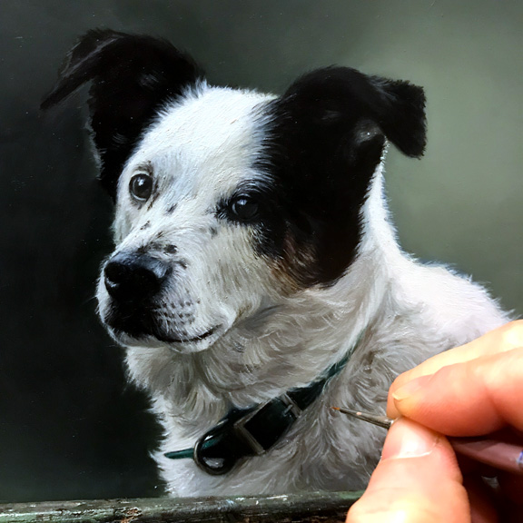 In Progress commissioned Pet portrait painting of black and white dog by Rebecca Luncan woman's best friend