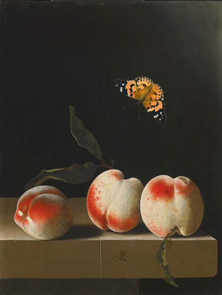 Adriaen Coorte, Three peaches on a stone ledge with a Painted Lady butterfly