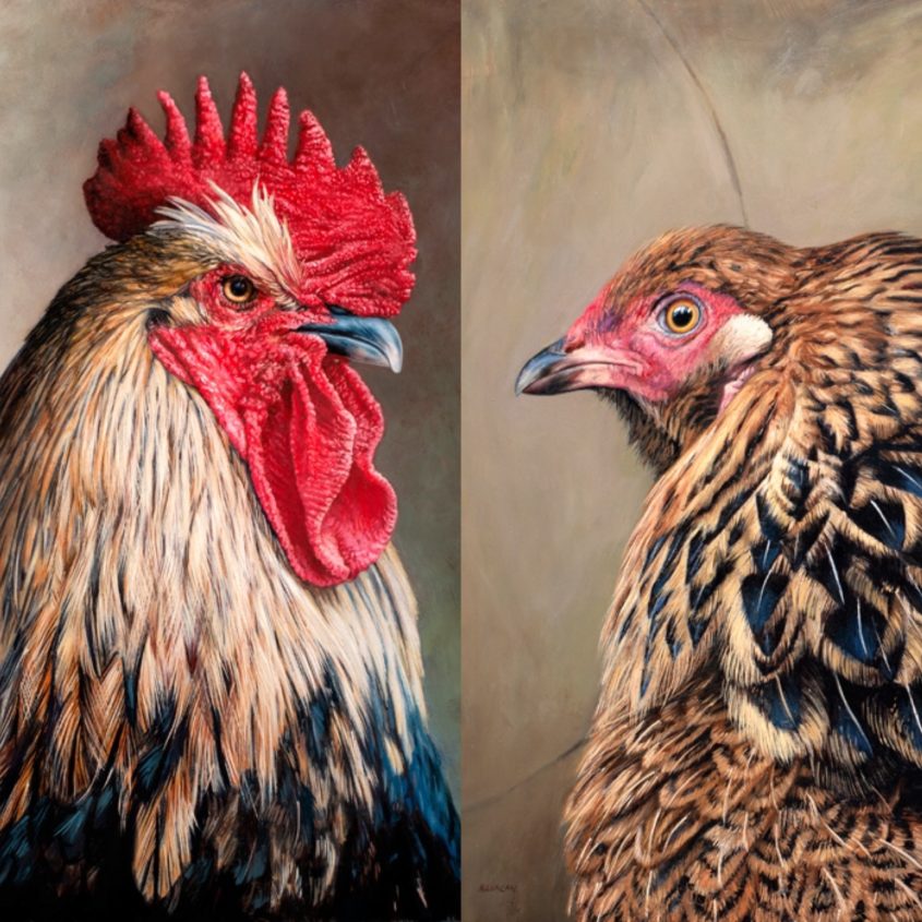 chicken paintings by Rebecca Luncan