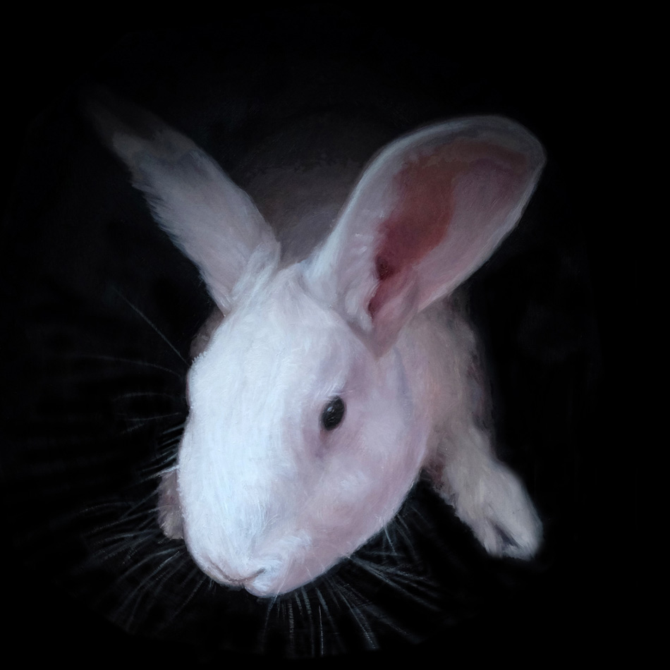 Oil Painting white Rabbit