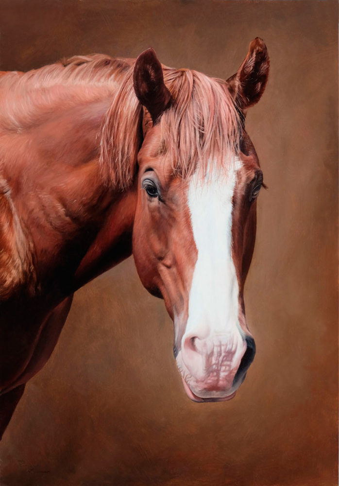 Horse portrait oil painting by Seattle artist Rebecca Luncan
