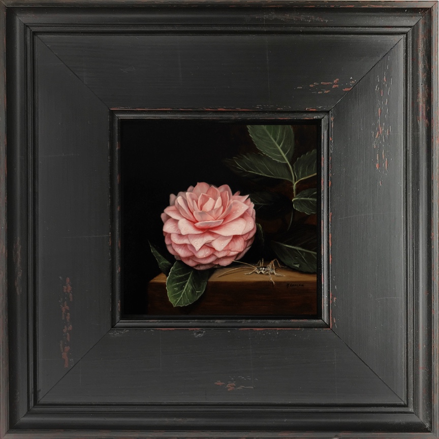 Camellia and cave cricket still-life oil painting by Rebecca Luncan