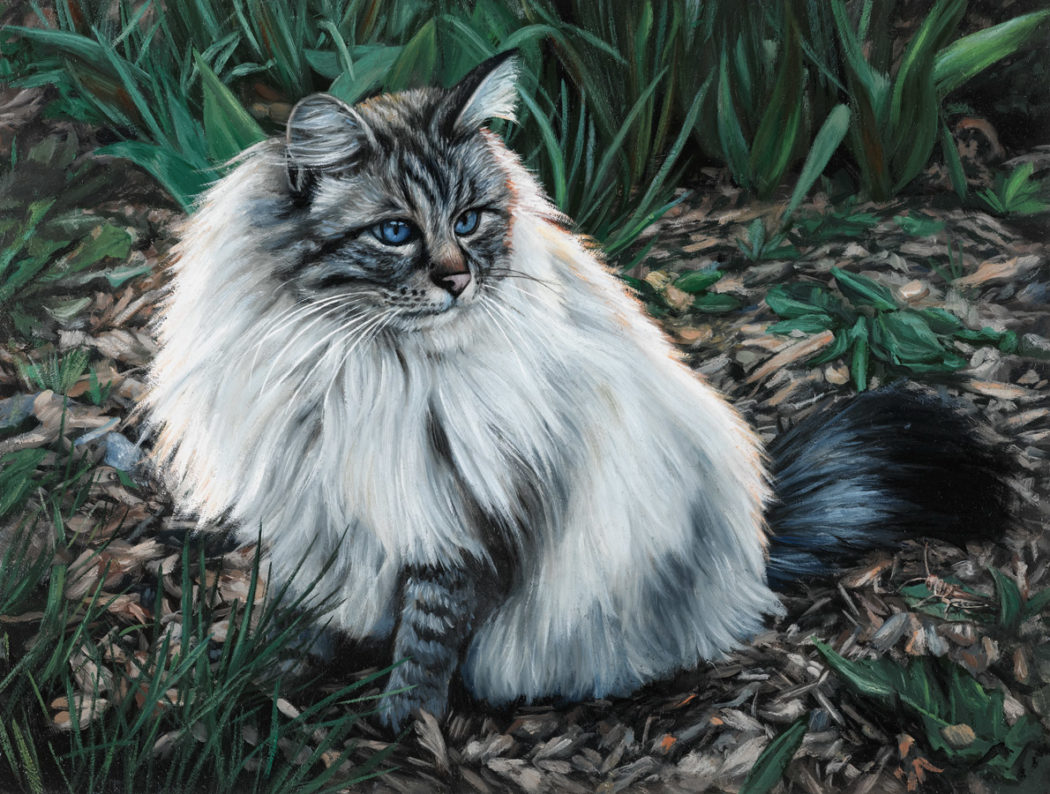 Cat pet Portrait oil painting by Rebecca Luncan