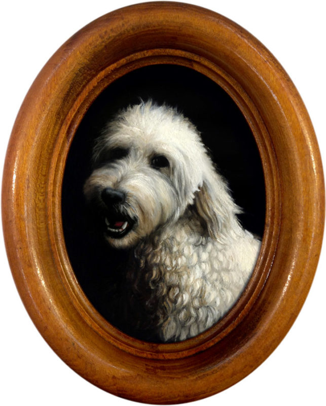 Labradoodle pet portrait oil painting Rebecca Luncan