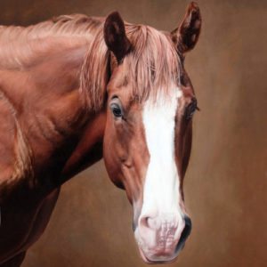Horse pet portrait oil painting by Seattle artist Rebecca Luncan