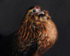 Chicken oil painting  miniature by Rebecca Luncan