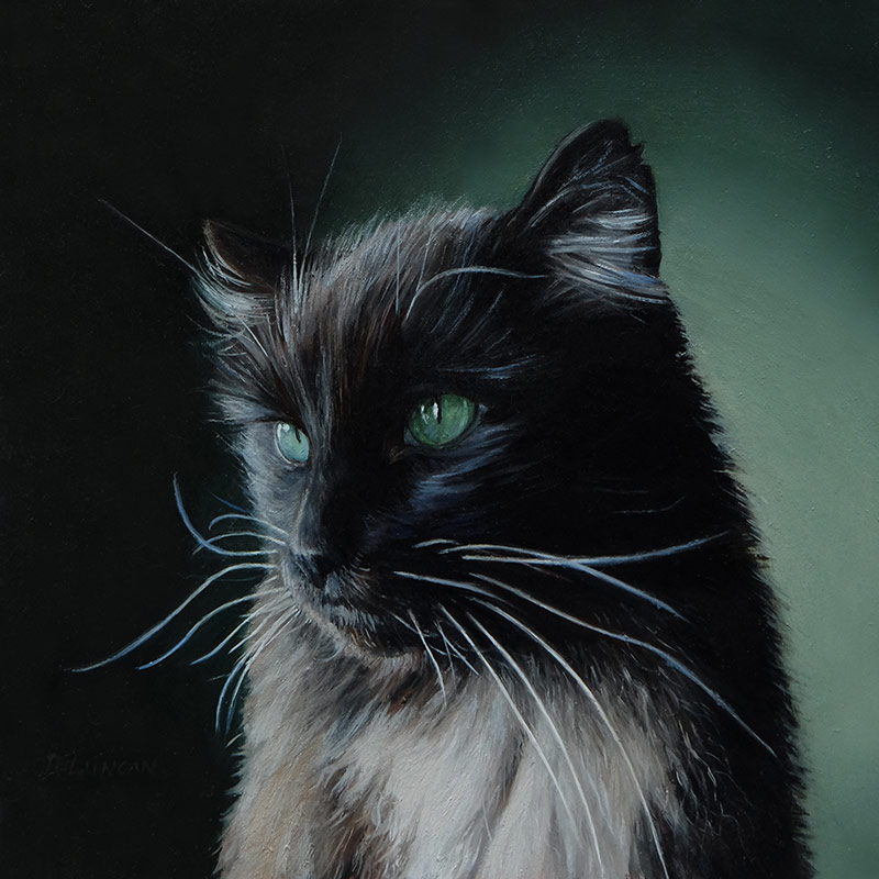 Bruno the cat, miniature oil painting on copper by Rebecca Luncan
