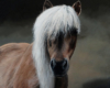 pet portrait painting of Pony by Rebecca Luncan