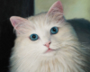 pet portrait painting of white cat