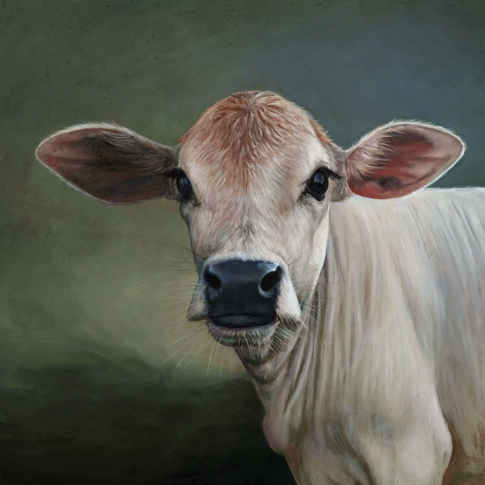 painting of baby cow zebu calf by Rebecca Luncan