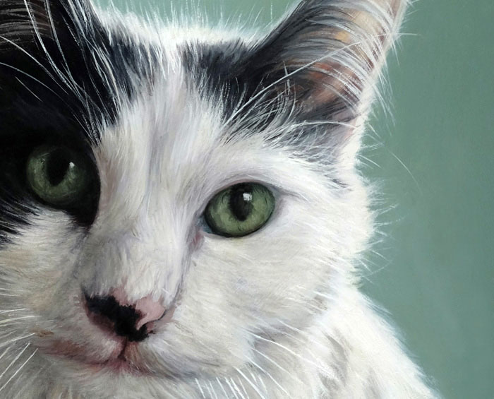 Oil painting detail of pet portrait of fluffy cat by Rebecca Luncan