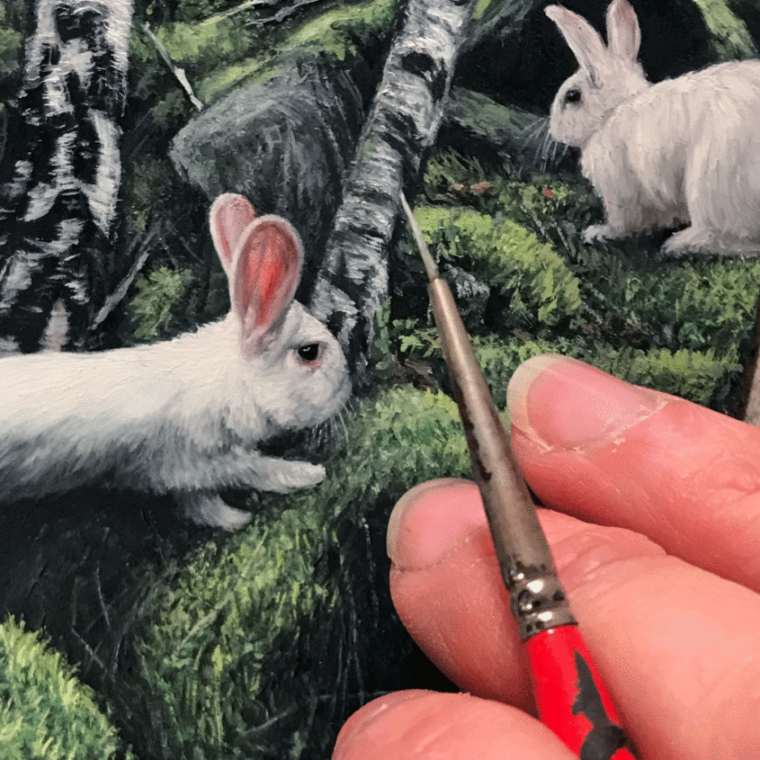 White Rabbit contemporary realism oil painting on aluminum by Rebecca Luncan in progress