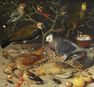 George Flegel, Still Life of Birds and Insects 1637