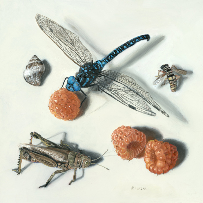 Anita's Insects, miniature oil painting of dragonfly, bee and grasshopper by Rebecca Luncan