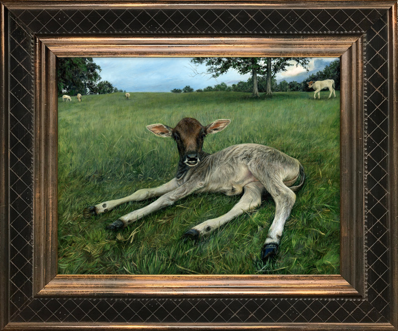 oil painting portrait of calf lying down in a field with blue sky and cows in background