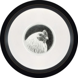 graphite portrait of chicken, framed by Rebecca Luncan
