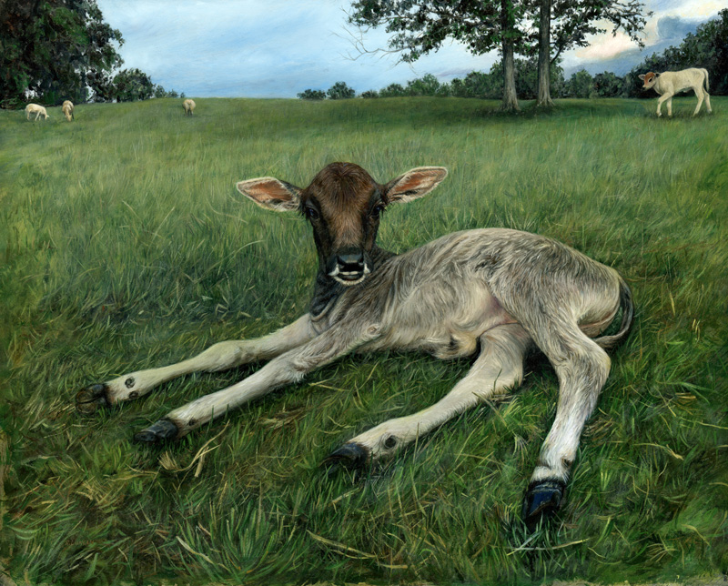 painting of a calf in grassy field in the realist tradition by Rebecca Luncan