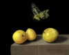 Swallowtail butterfly over Japanese plums, Miniature oil on copper painting by Rebecca Luncan