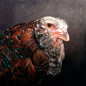 russian orloff chicken oil painting by Rebecca Luncan