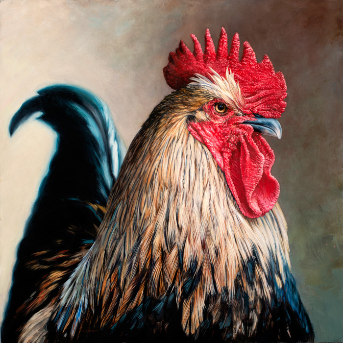 Rooster oil painting