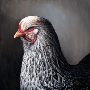 Chicken painting by Rebecca Luncan oil on aluminum representational art