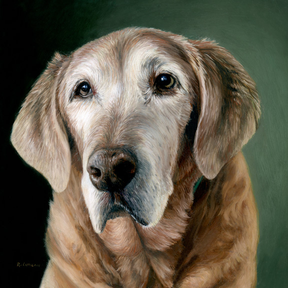 Pet portrait painting of golden retriever by Rebecca Luncan