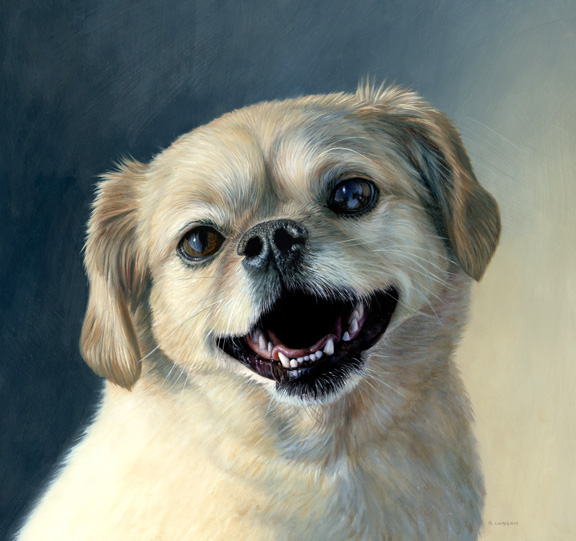 large pet portrait