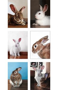 Set of six different Portrait rabbit greeting cards by Rebecca Luncan