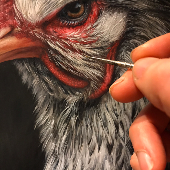 in progress oil painting of Brahma Chicken by Rebecca Luncan