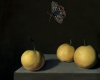 Checkerspot butterfly over asian pears (nashi) still life oil painting by Rebecca Luncan