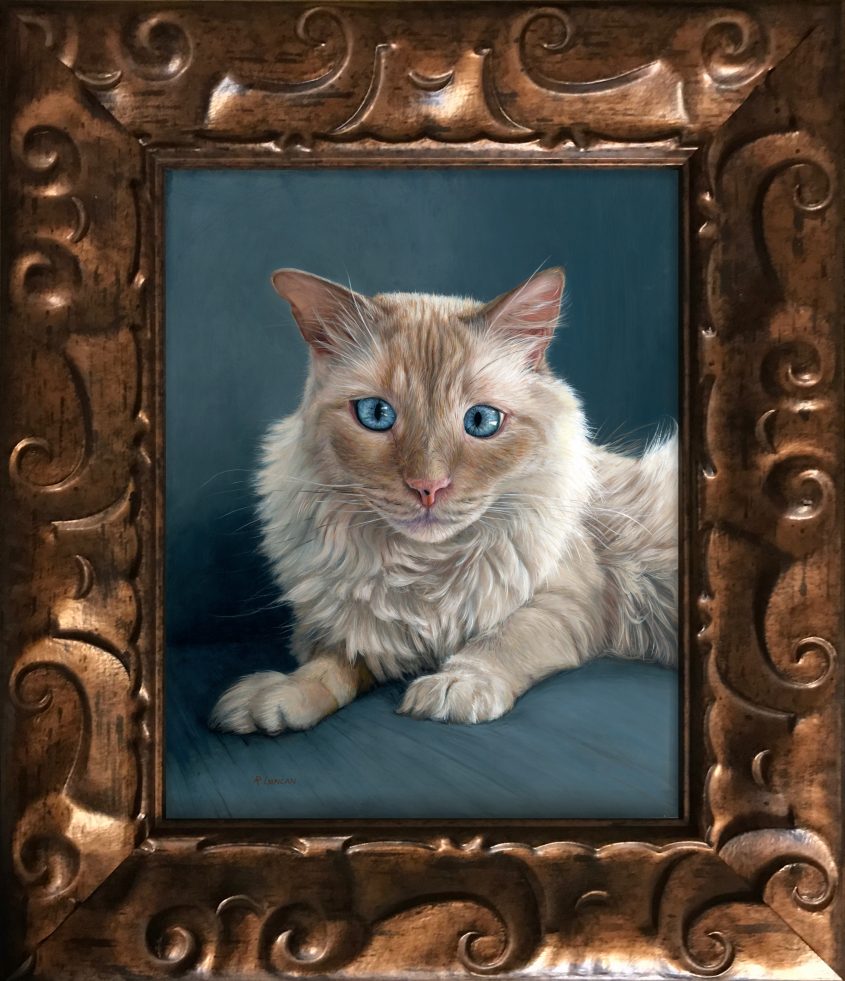 Harrison, a pet portrait commission of a Flame Point Rag-doll