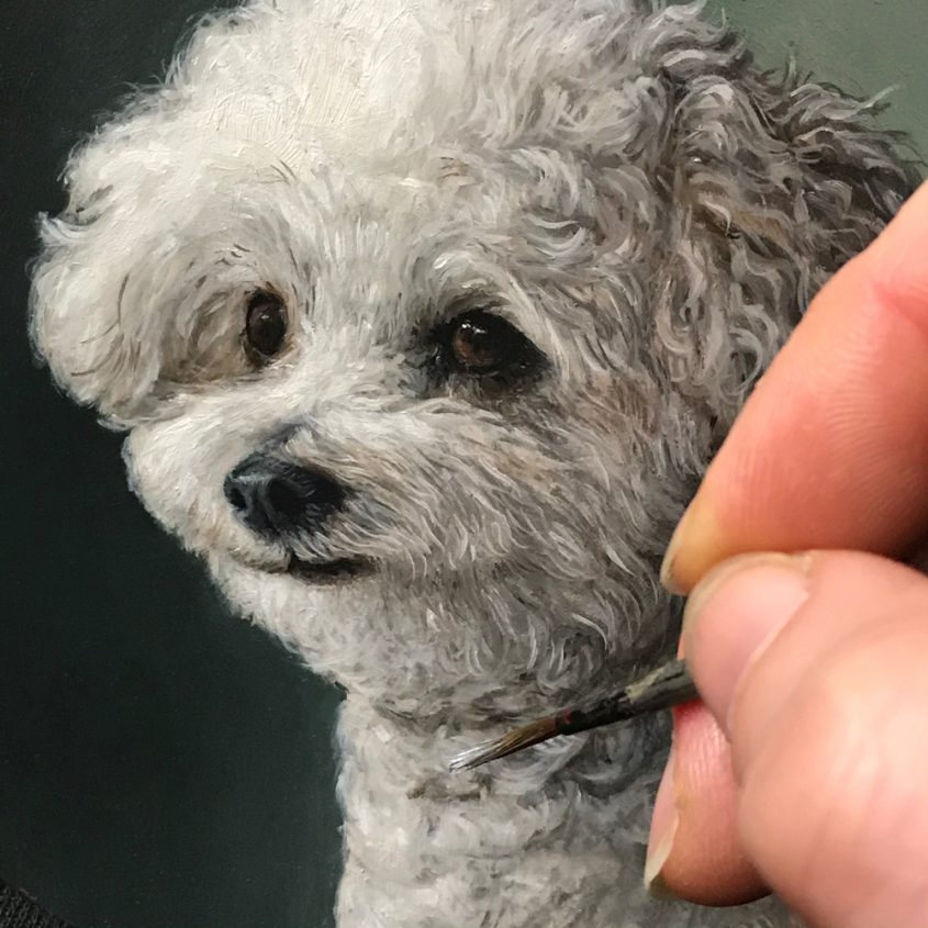 Pet portrait painting of white mini poodle by Rebecca Luncan