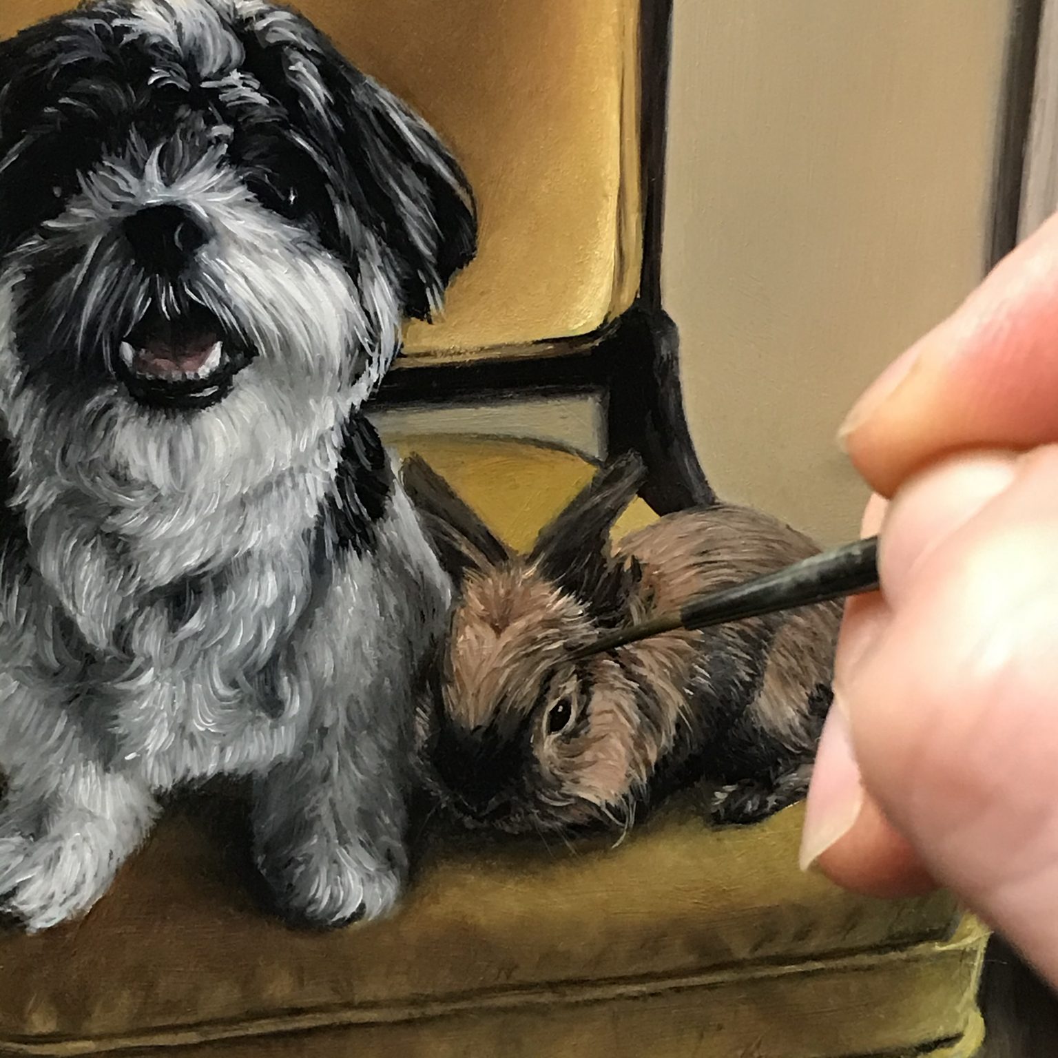 portrait painting of lion head rabbit and shih tzu in formal setting by realist painter, Rebecca Luncan in progress
