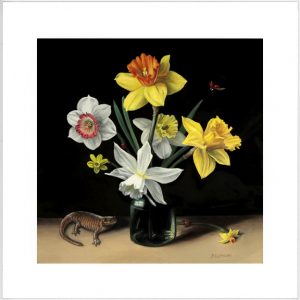 seven varieties of daffodil still life painting by Rebecca Luncan