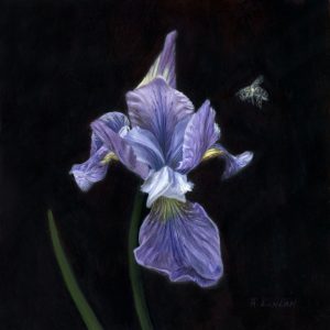 still life oil painting on copper of iris and bee by Rebecca Luncan