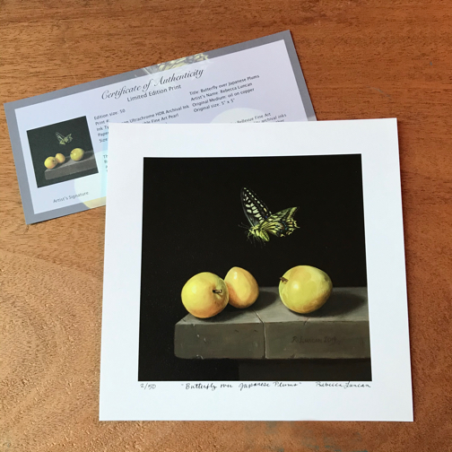 Limited edition print plums and swallowtail butterfly oil painting by Rebecca Luncan with certificate of authenticity