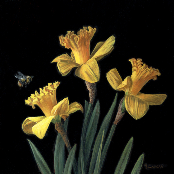 three daffodils with bee still life painting, oil on copper by Rebecca Luncan