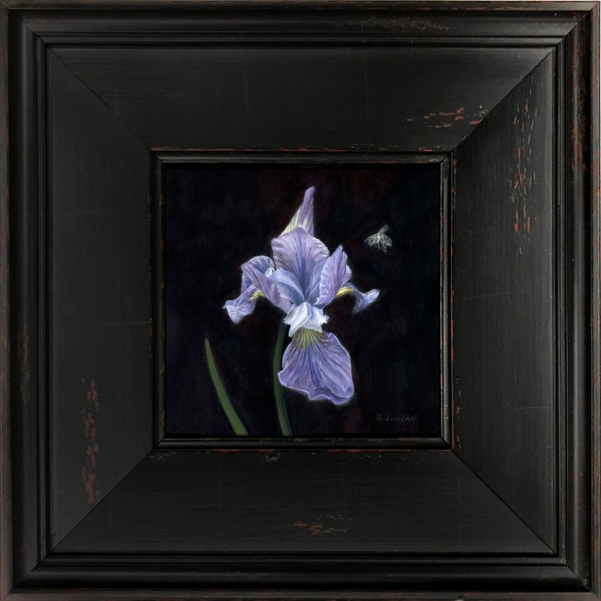 still life oil painting on copper of iris and bee in black frame by Rebecca Luncan